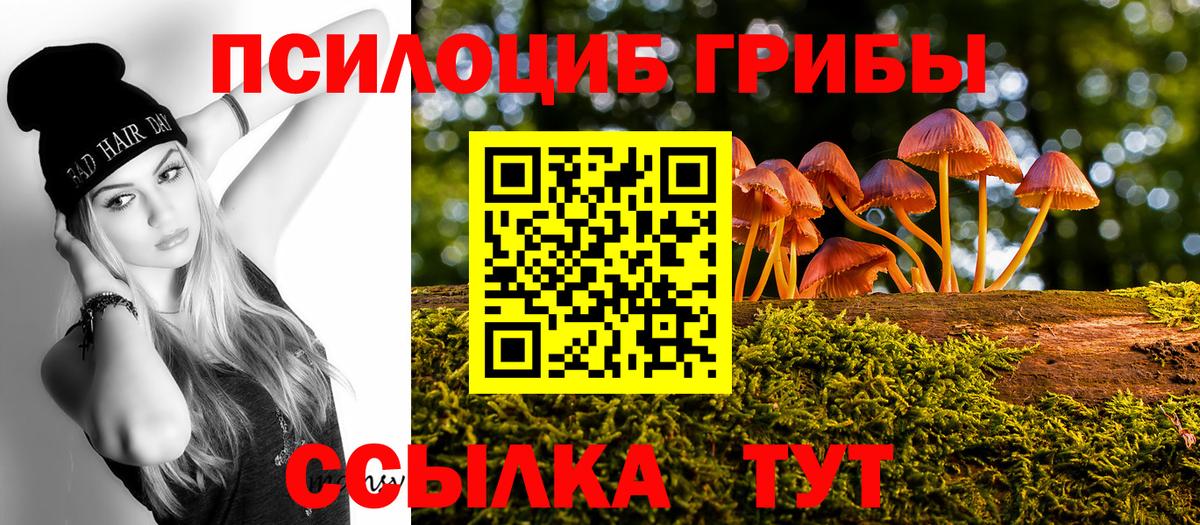 Геленджик  Галлюциногенные грибы прущие грибы  Вход с VPN 