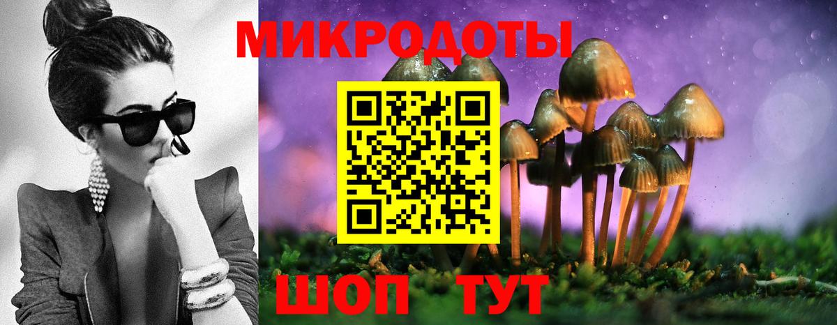 Галлюциногенные грибы MAGIC MUSHROOMS Геленджик